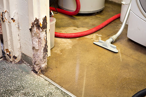 Biohazard Cleaning Service Milwaukee for Beginners