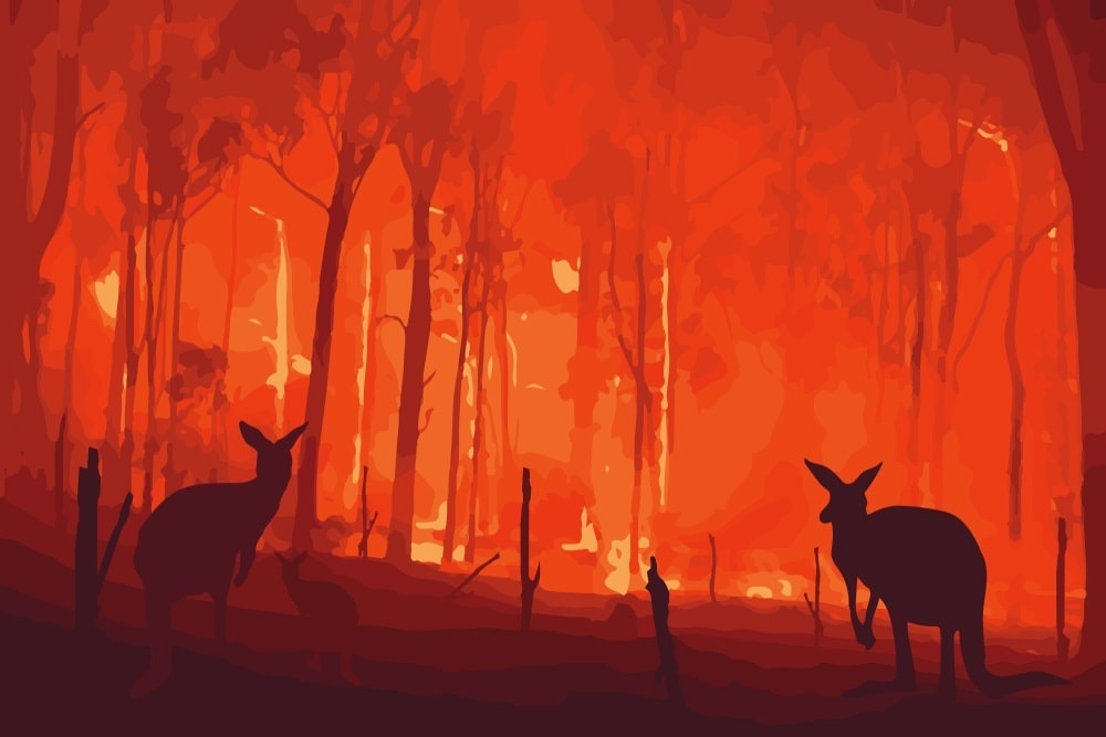 Bushfire Protection Australia: A Certified Bushfire Risk Management Company
