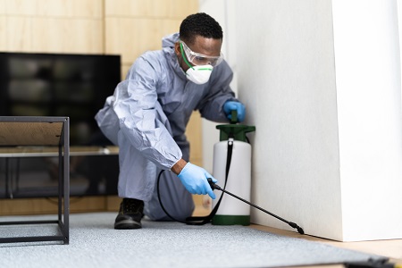 Guardian Pest Control Leads the Way with Quality Pest Control Services in Utah